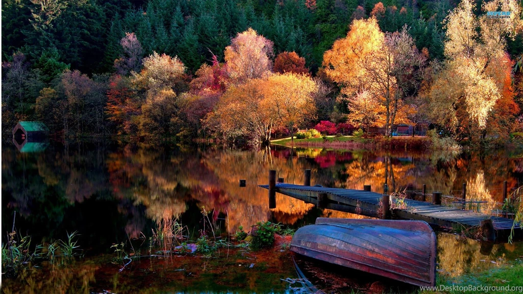 Lake In The Woods Wallpapers   Nature Wallpapers