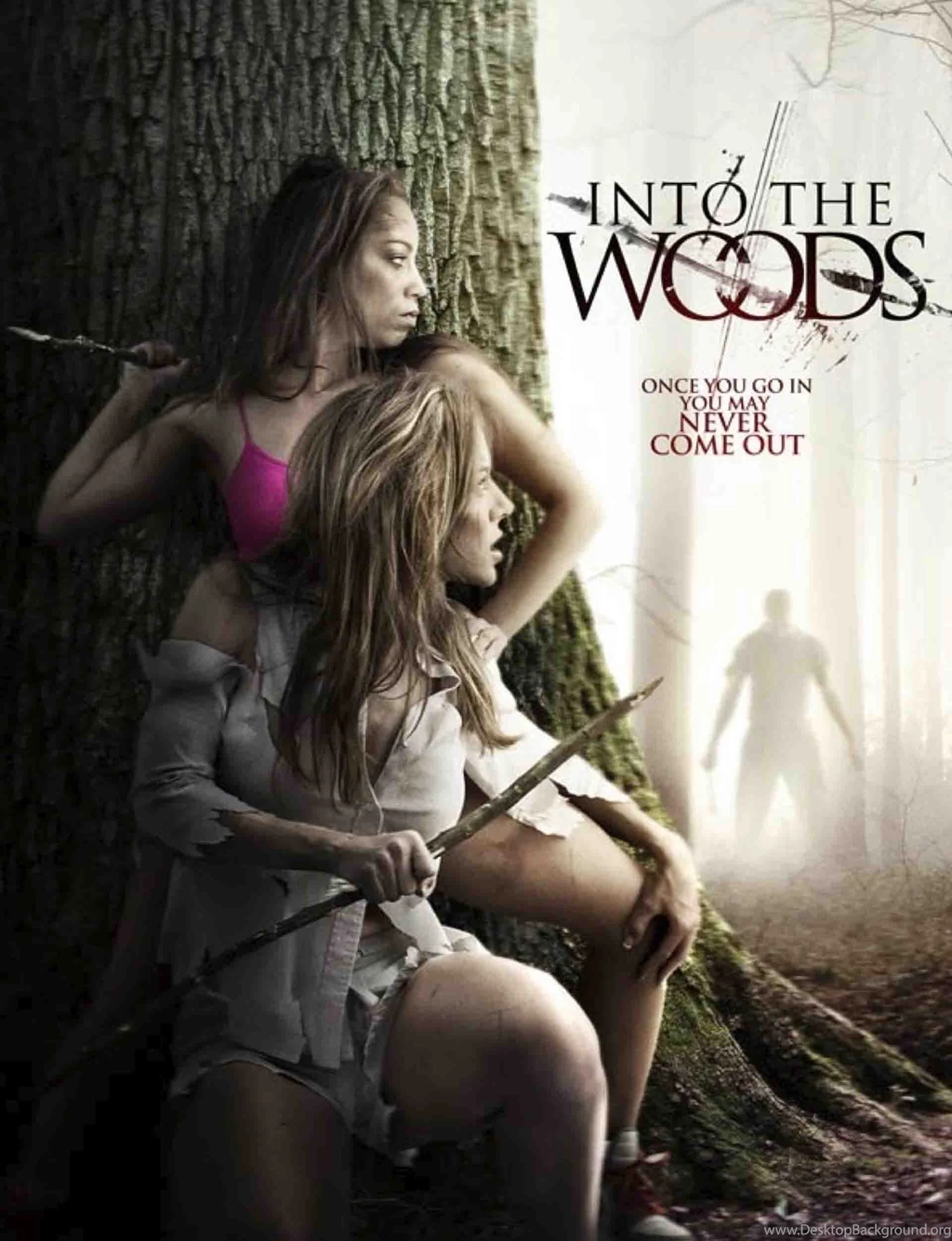 Into The Woods Latest HD Wallpapers Free Download