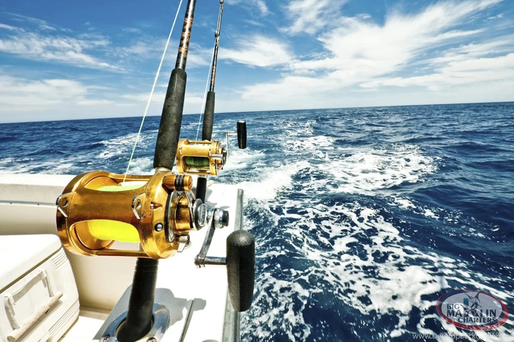 Pictures Of Deep Sea Fishing Wallpapers Of Insect And Animals ...