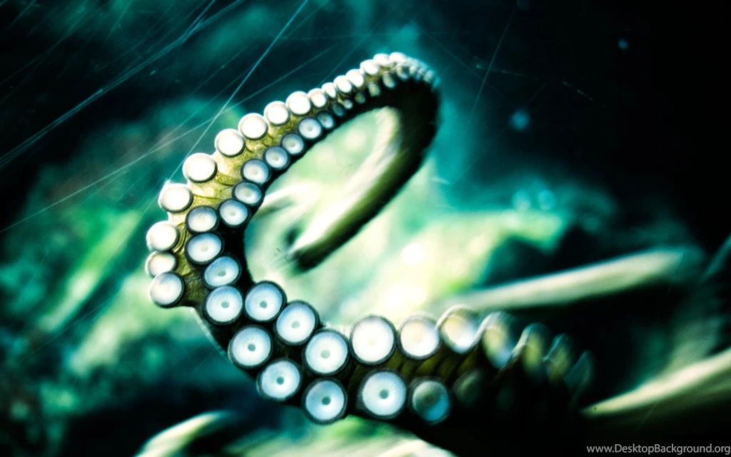 Download The Deep Water Tentacles Wallpaper, Deep Water Tentacles ...
