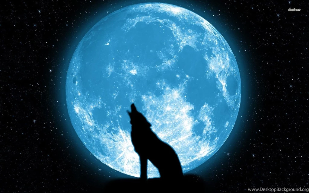 Blue Moon Wallpapers