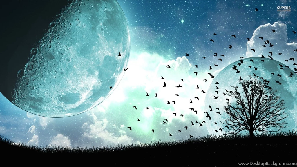 Birds And Tree Under The Blue Moon : Desktop And Mobile Wallpapers ...