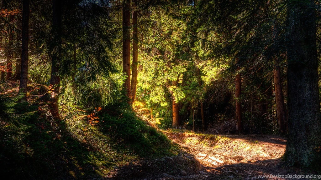 Tallteen, Scenery, Wallpapers, Original (