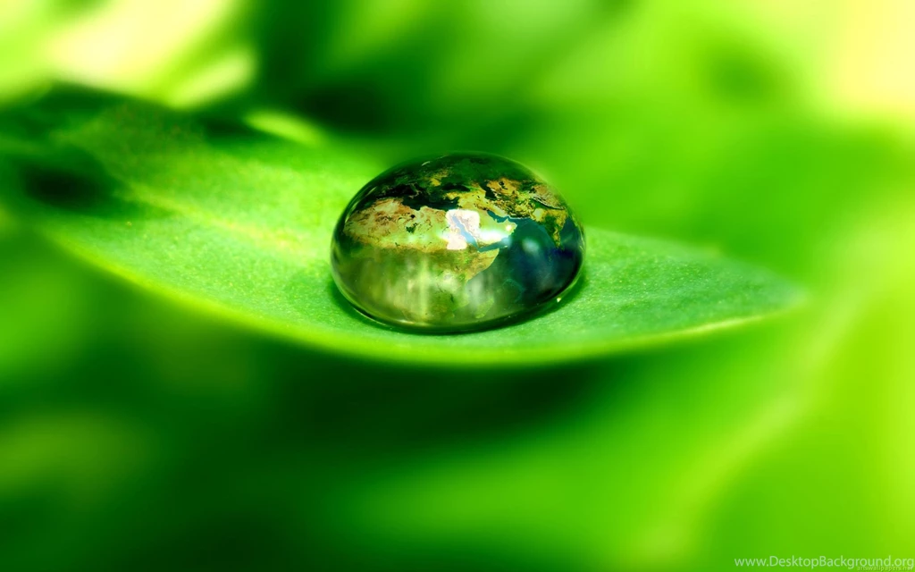Green Nature Backgrounds