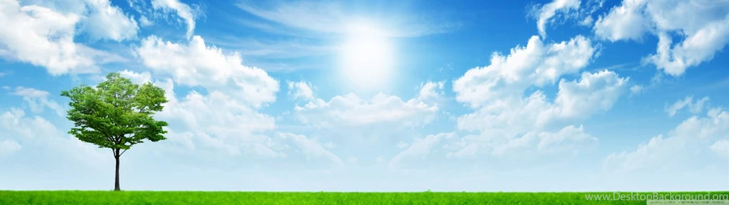 Green Nature HD Desktop Wallpapers : Mobile : Dual Monitor