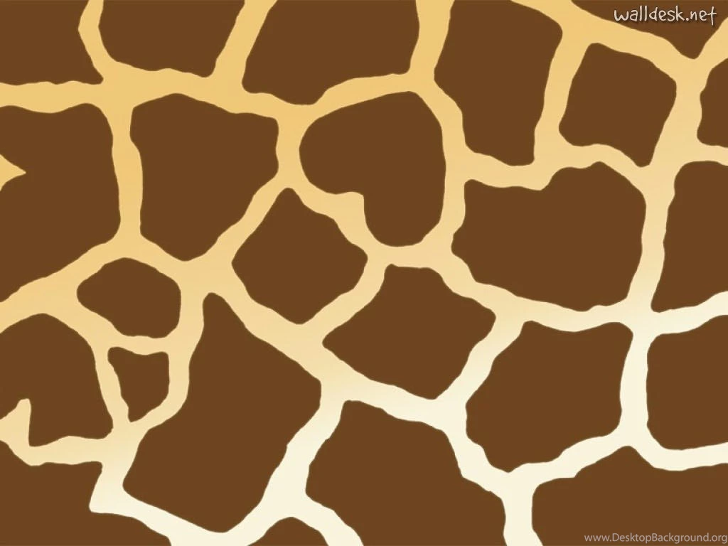 Giraffe Print Border Wallpapers And Backgrounds