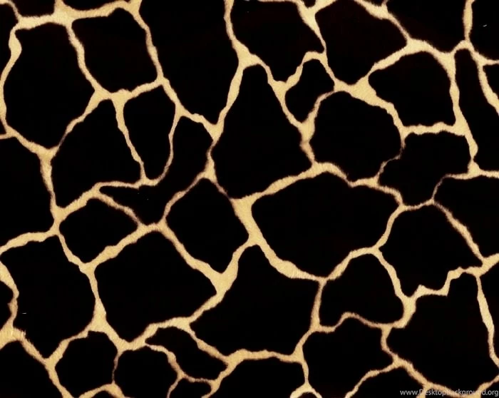 Giraffe Print Wallpapers WeSharePics
