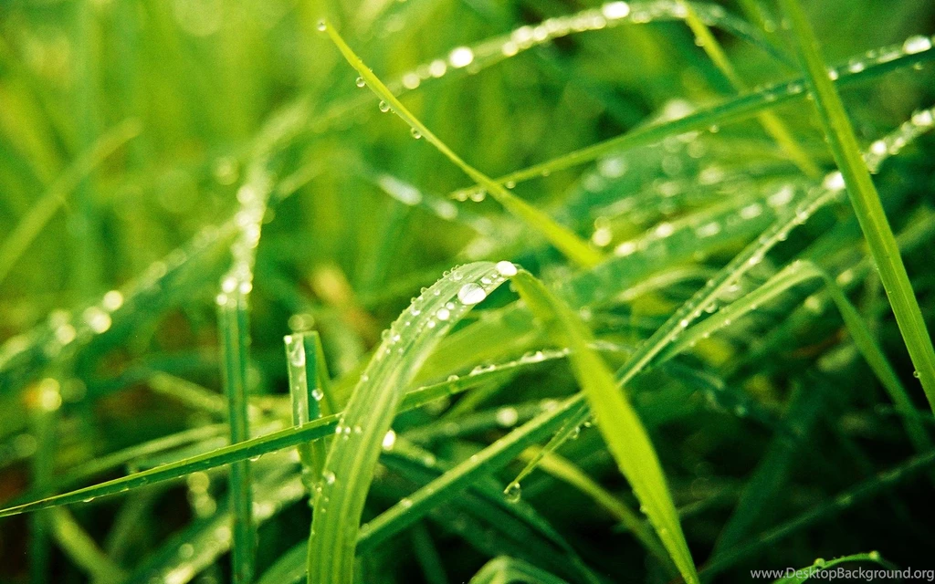 9 HD Backgrounds For Desktop 8.jpg