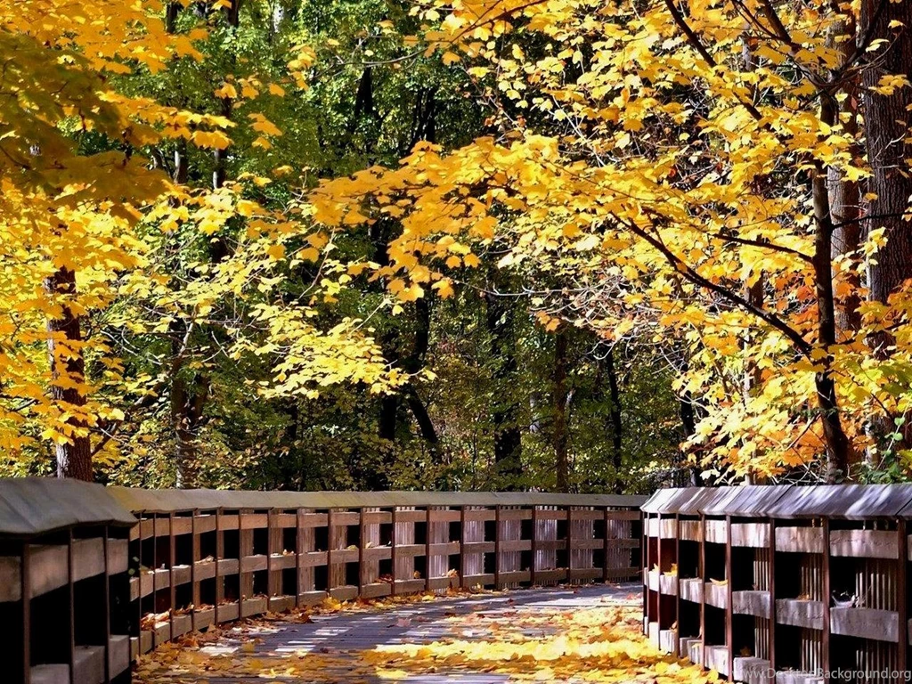 Natural Scenery Wallpapers Free Download
