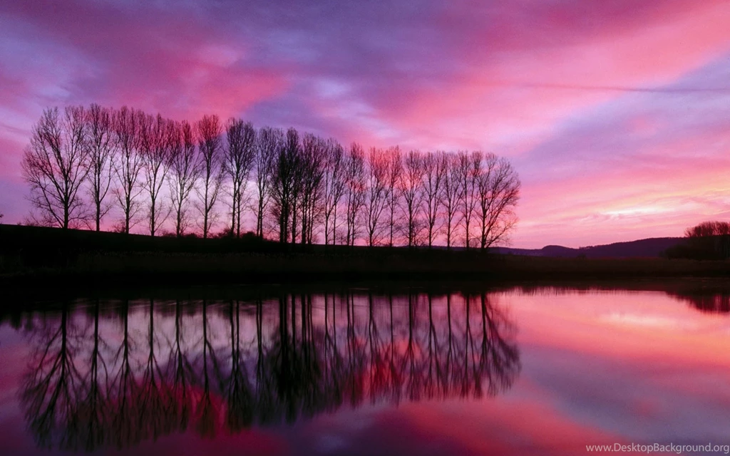 Wallpapers Scenares Scenery Free 1920x1200