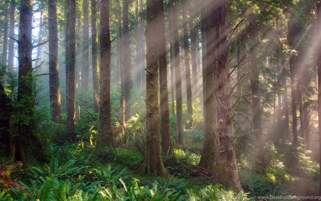 Natural Scenery Wallpapers 4 － Landscape Wallpapers   Free ...