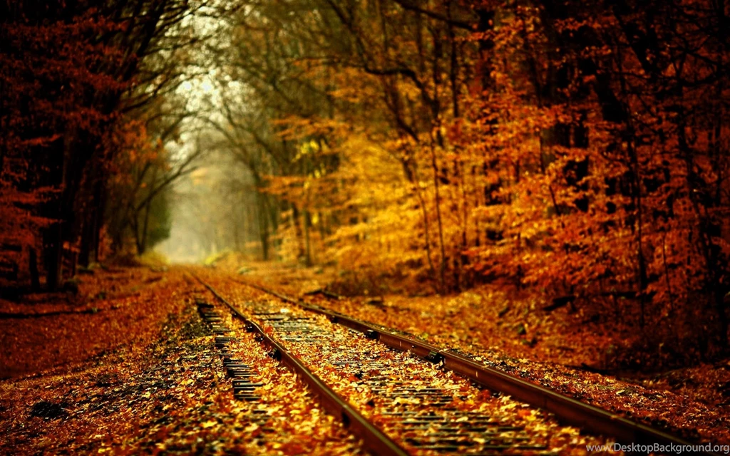 Free Fall Desktop Backgrounds – 1280×1024 High Definition ...