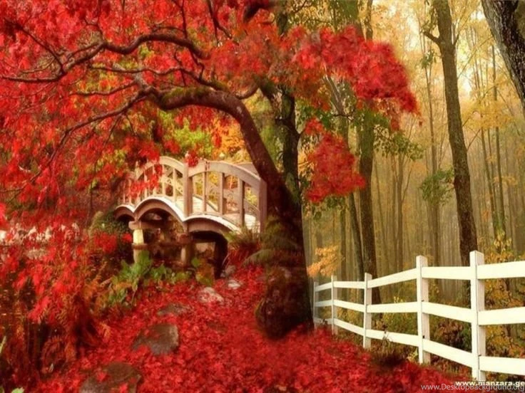 Free Fall Photos For Desktop
