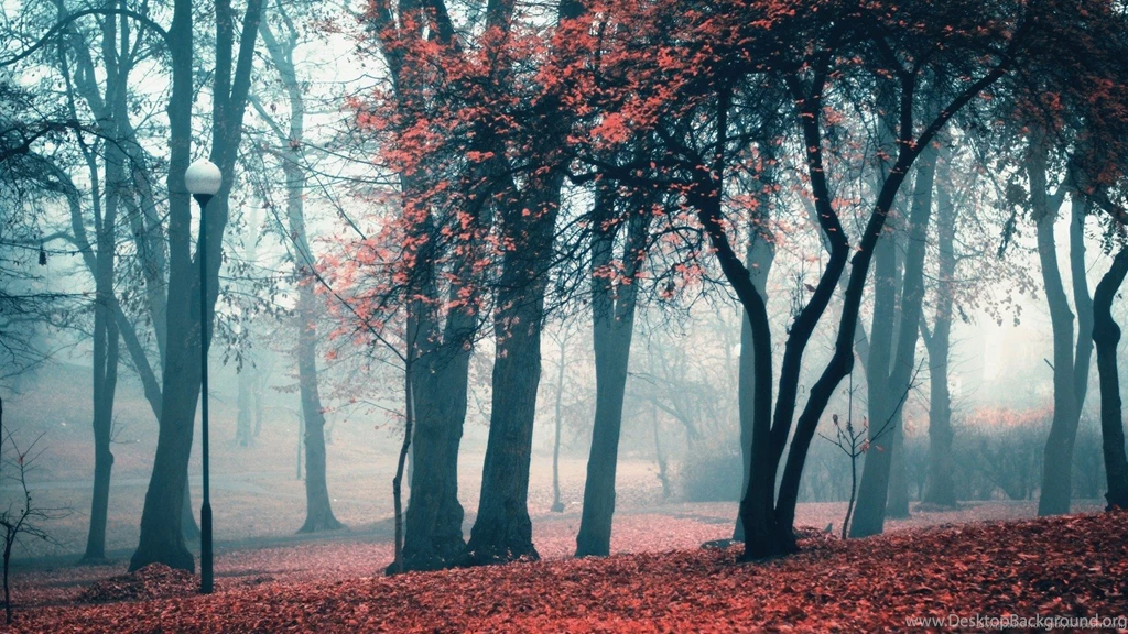 Download 1600x900 Cold Weather In The Park Wallpapers