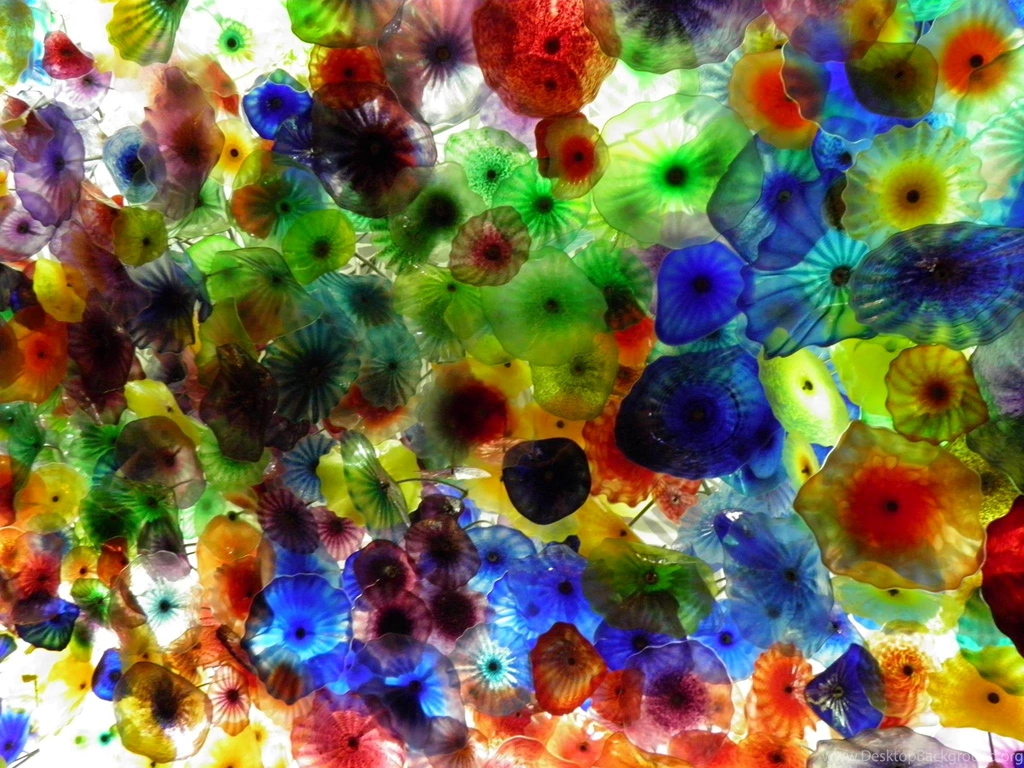 25 Random Facts About Me