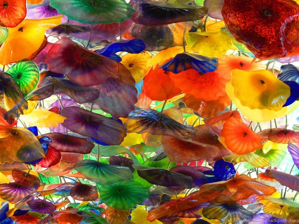 Chihuly Bellagio [With DVD]   QuickBooks Download