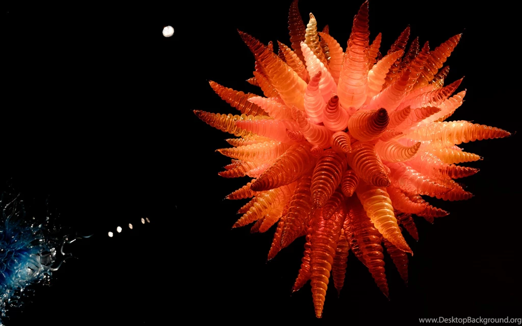 Chihuly Garden And Glass HD Wallpapers. 4K Wallpapers