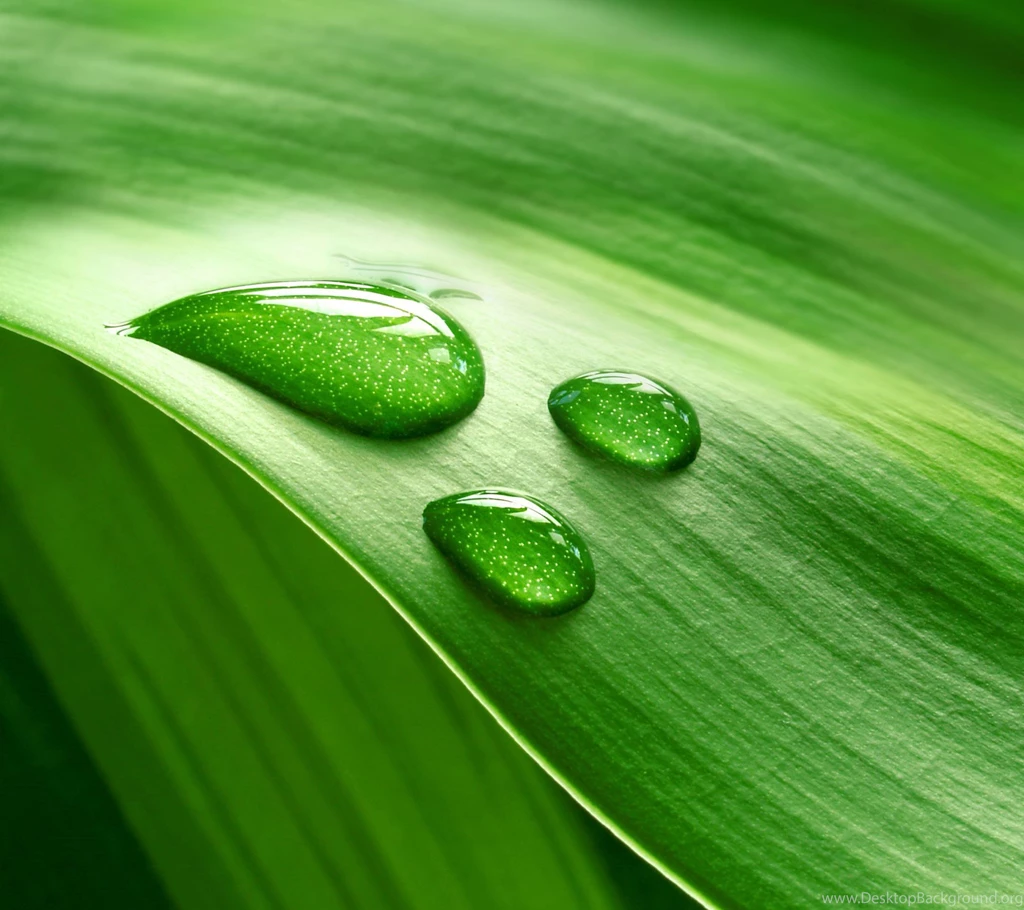 Oppo Find 7 Wallpapers And Lockscreens