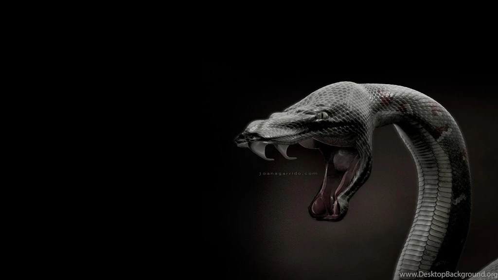 Cool Snake Backgrounds Wallpapers Cave