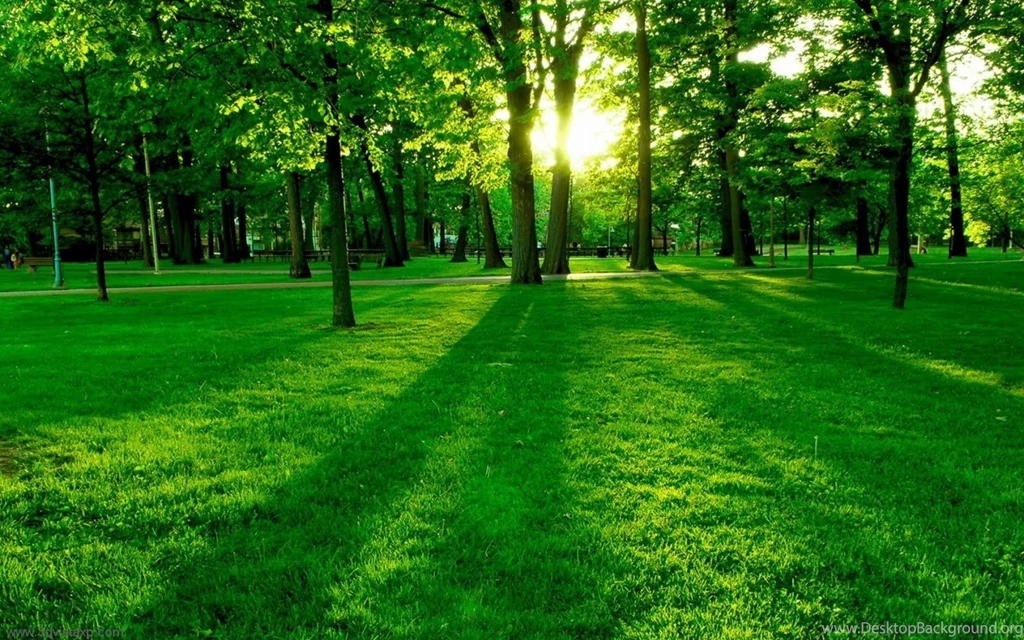 Website Background Images Free Desktop Backgrounds