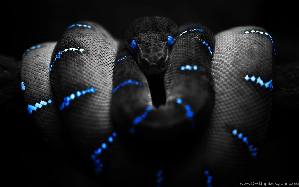 5 Awesome And Best Ever HD Wallpapers Birthday Wishes, 3D ...