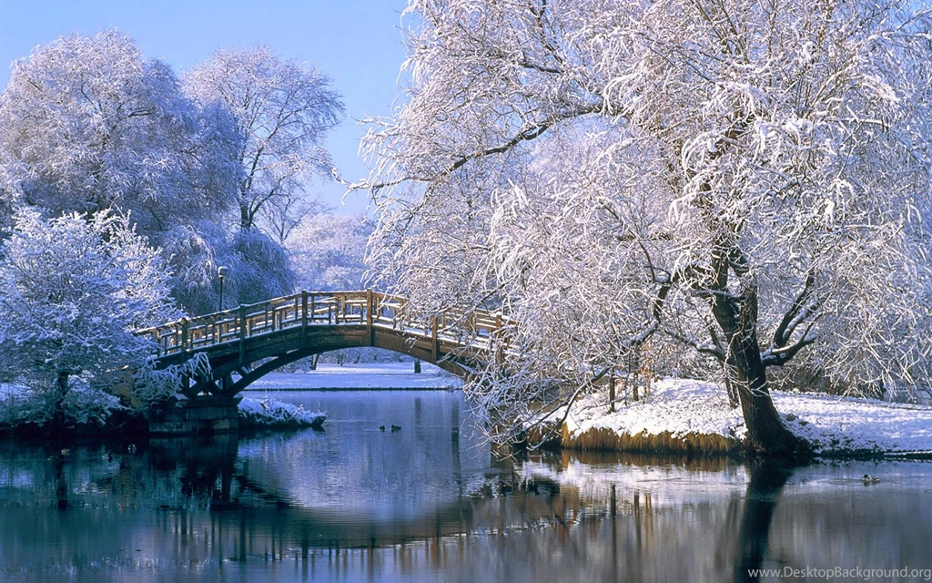 Free Download HD Wallpapers, Pictures, Images, Backgrounds ...