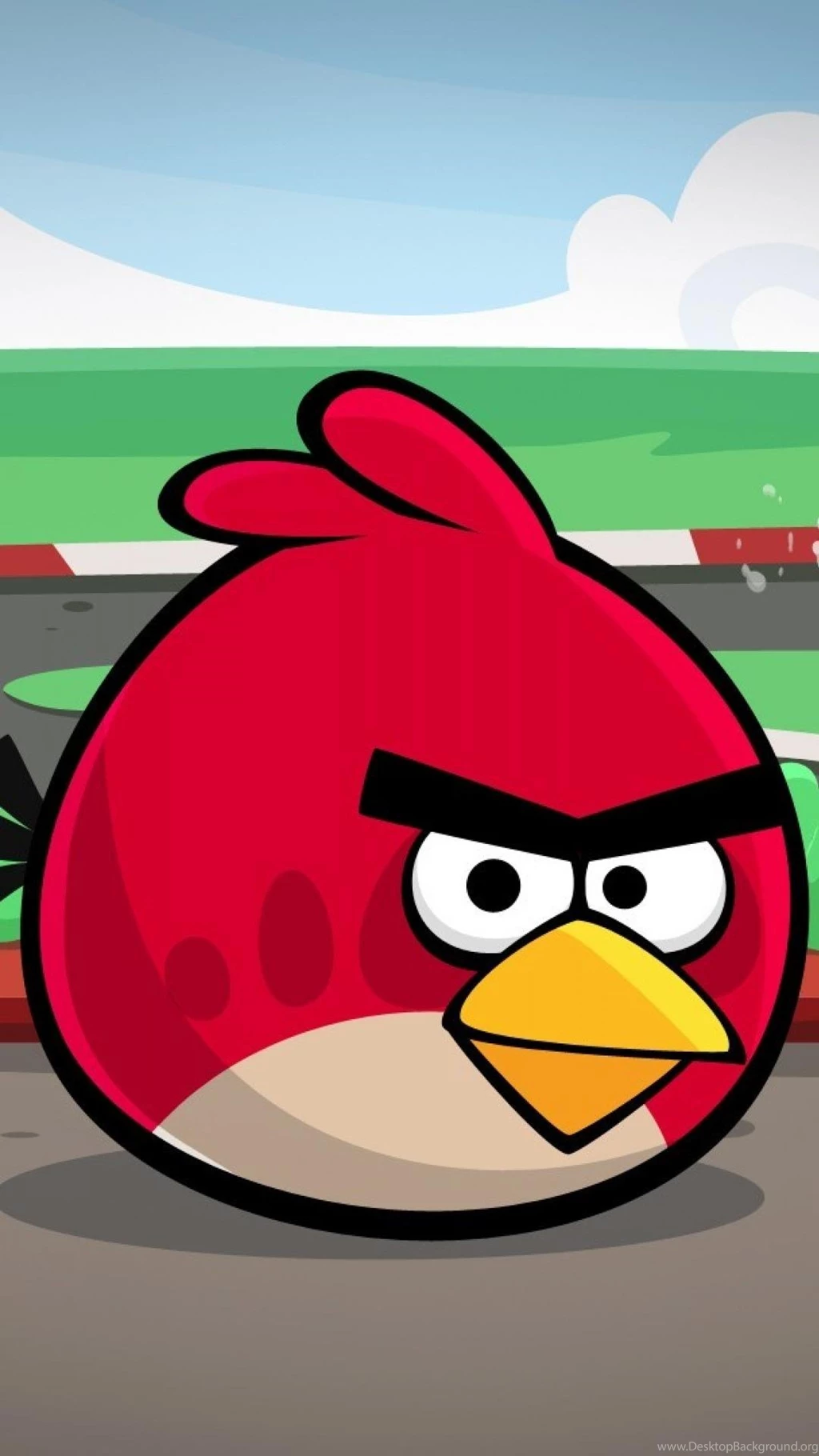 Картинка реда из angry birds