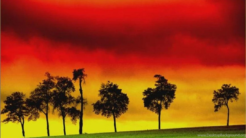 Reggae Wallpapers (