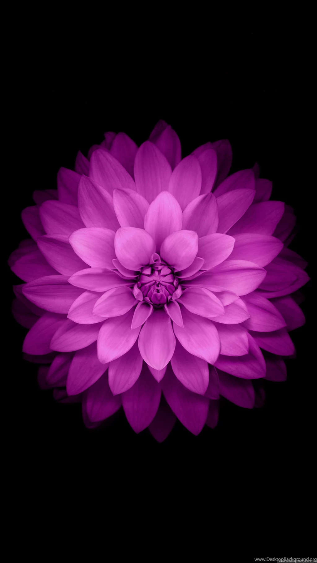 Wallpaper Images Collection (47+)