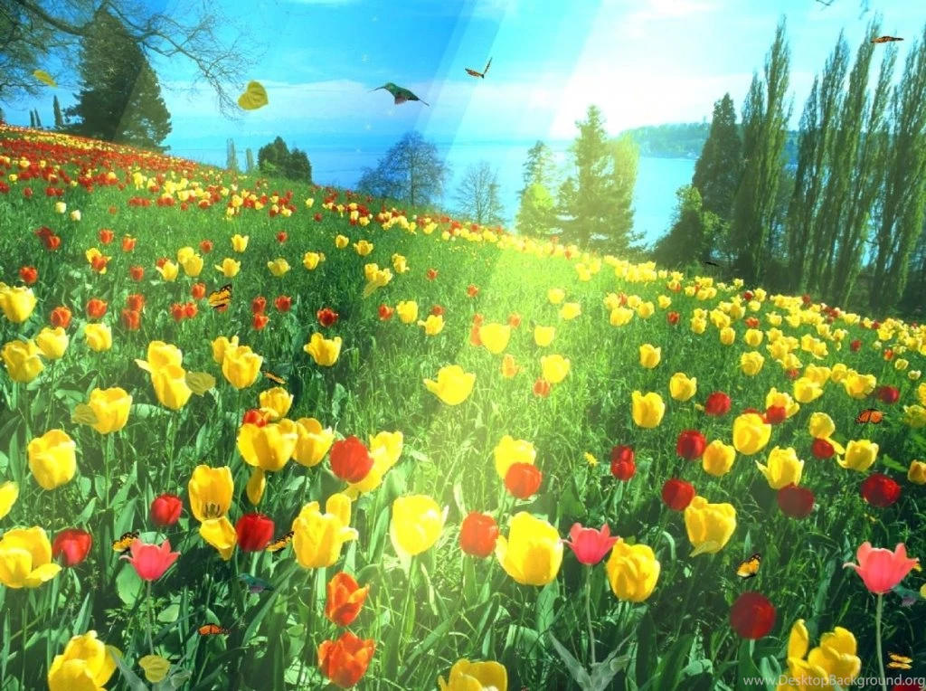 Amazing Animated Wallpapers Hd