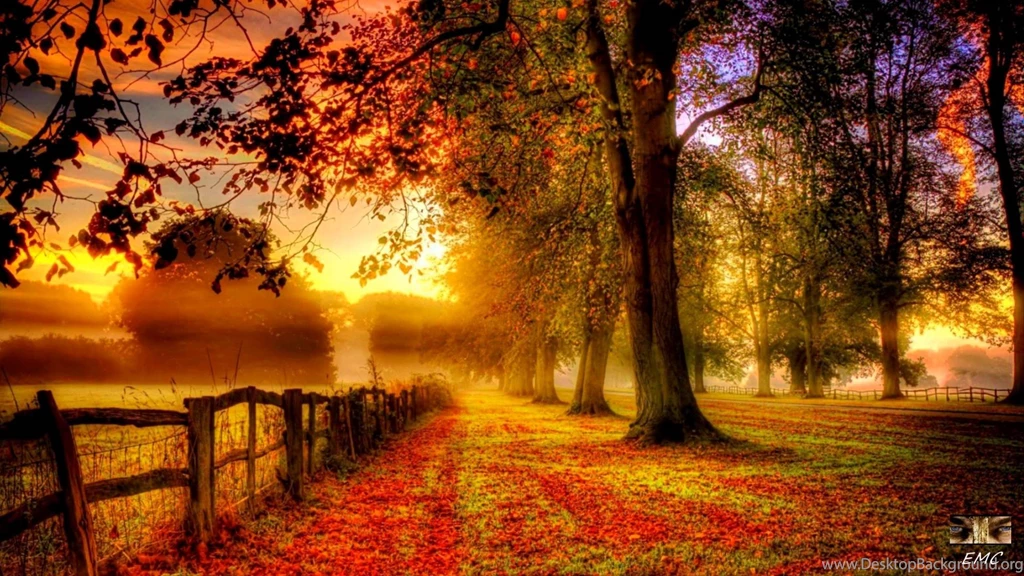 Free Fall Foliage Desktop Wallpapers