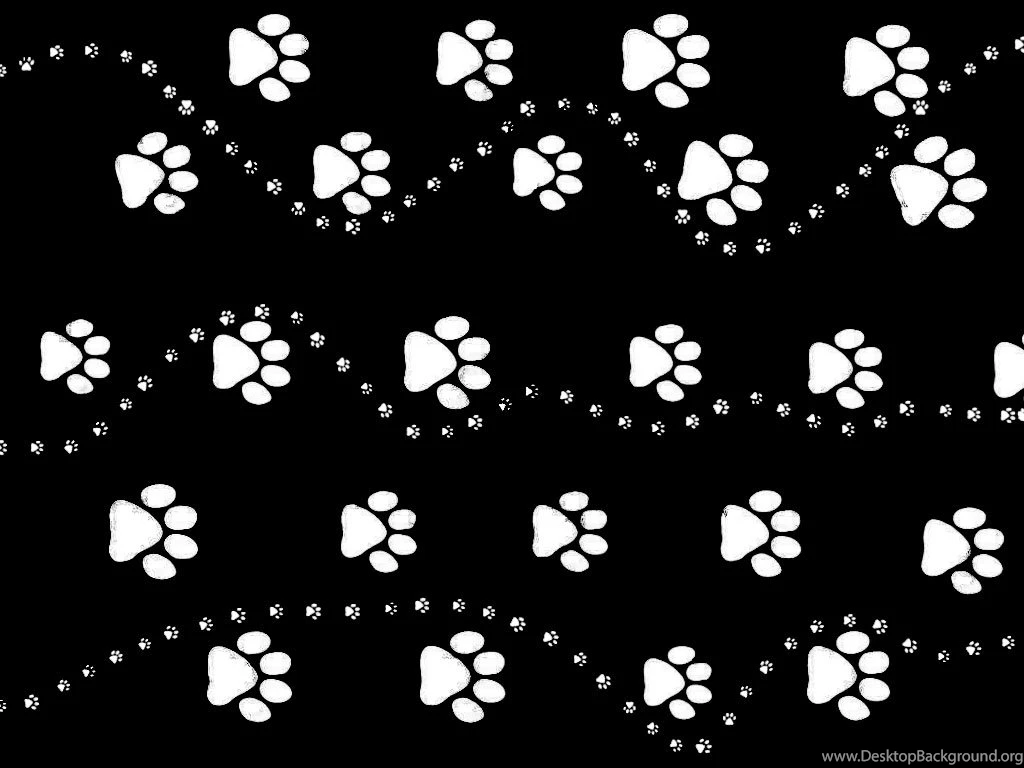 Paw Print Wallpapers