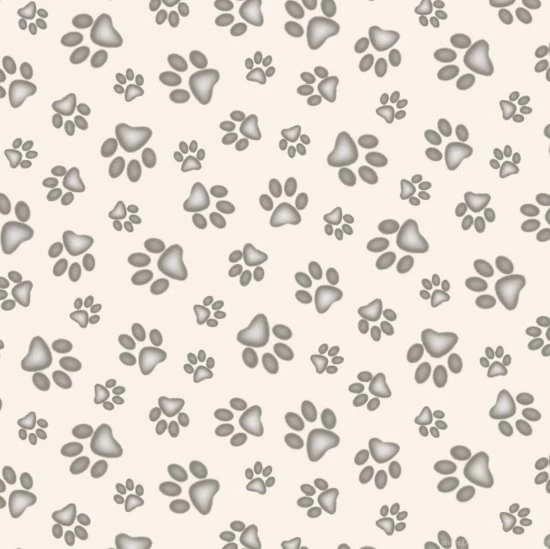 Dog Paw Wallpapers Wallpapers Zone