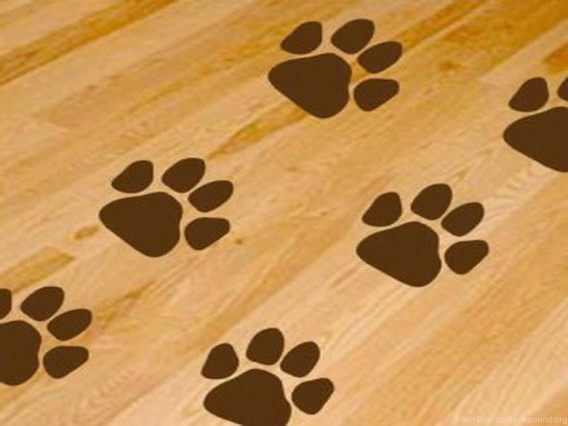 Appealing Pics Above, Is Section Of Dog Paws Print Wallpapers For ...
