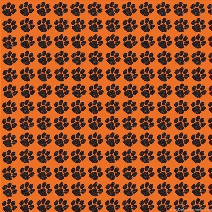 Prefect Ed Sheeran Paw Print Wallpapers