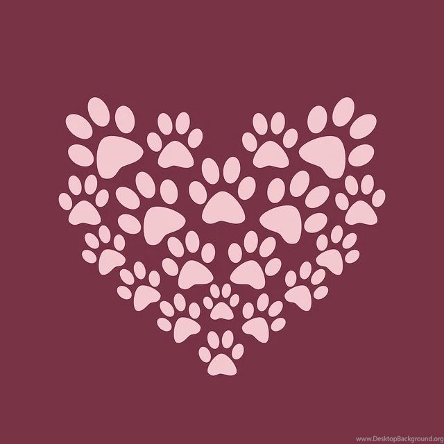 Free Pictures BACKGROUND 4320 Images Found
