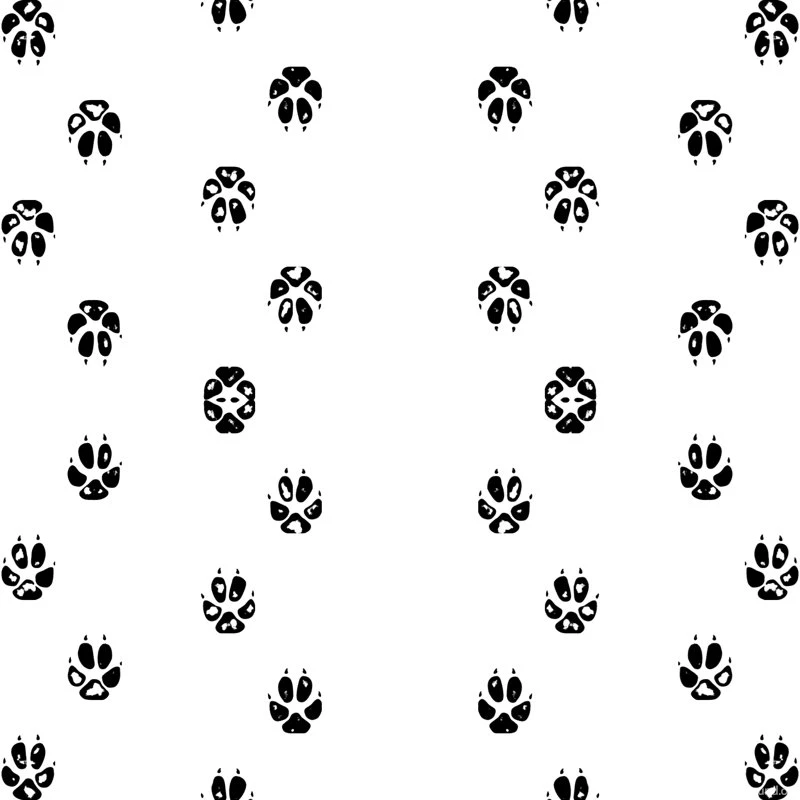 Paw Prints Fabric, Wallpapers & Gift Wrap Spoonflower