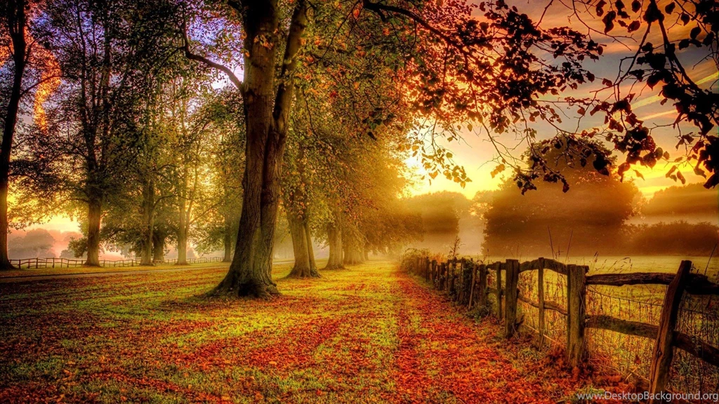 977AA1 Color Wallpapers: Serene Sunset Autumn Colors Fall Leaves ...
