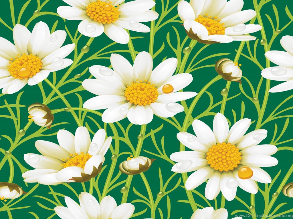 Daisy Yellow Flowers Backgrounds Flowers, Green, White, Yellow ...