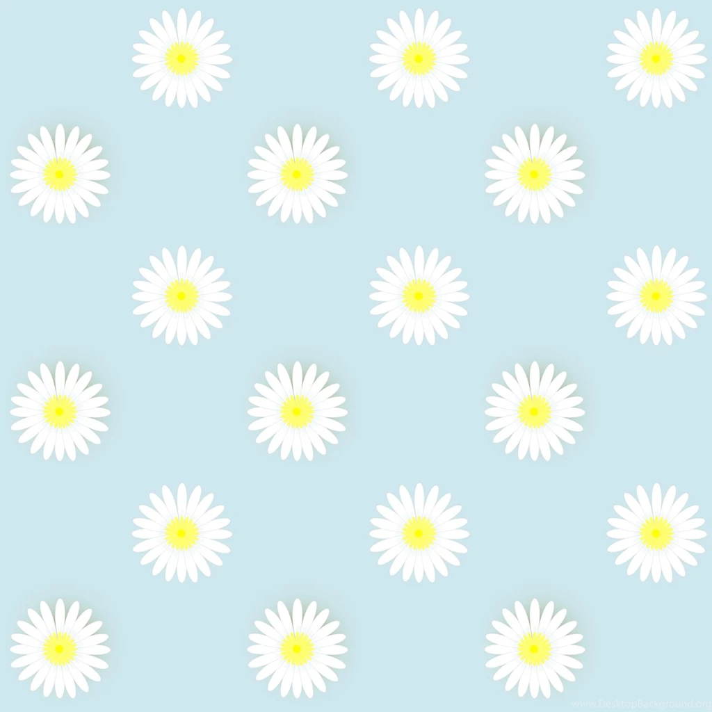 Daisy Backgrounds Wallpapers Zone