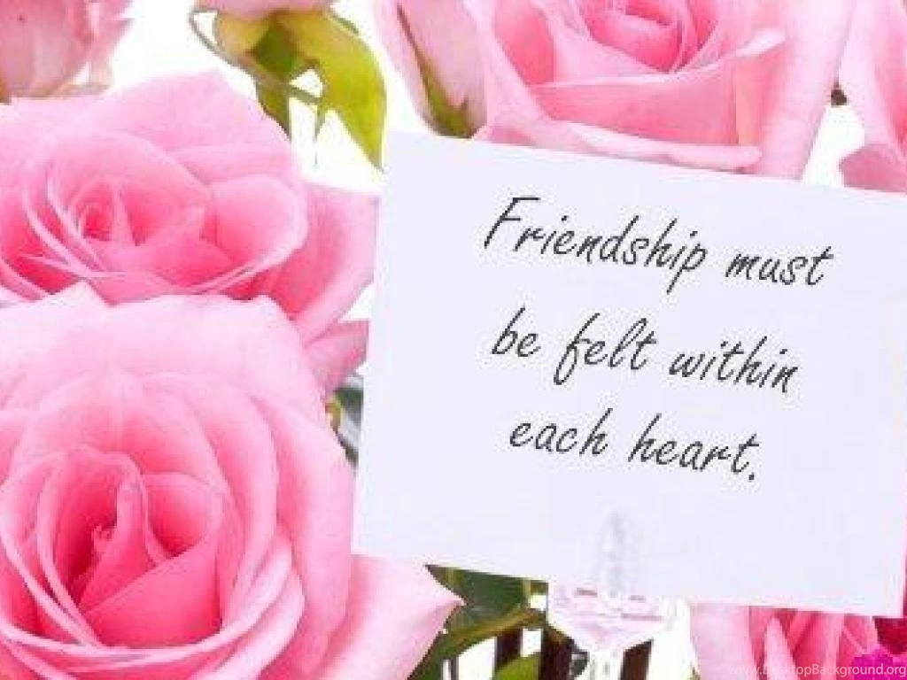 Friendship Wallpapers