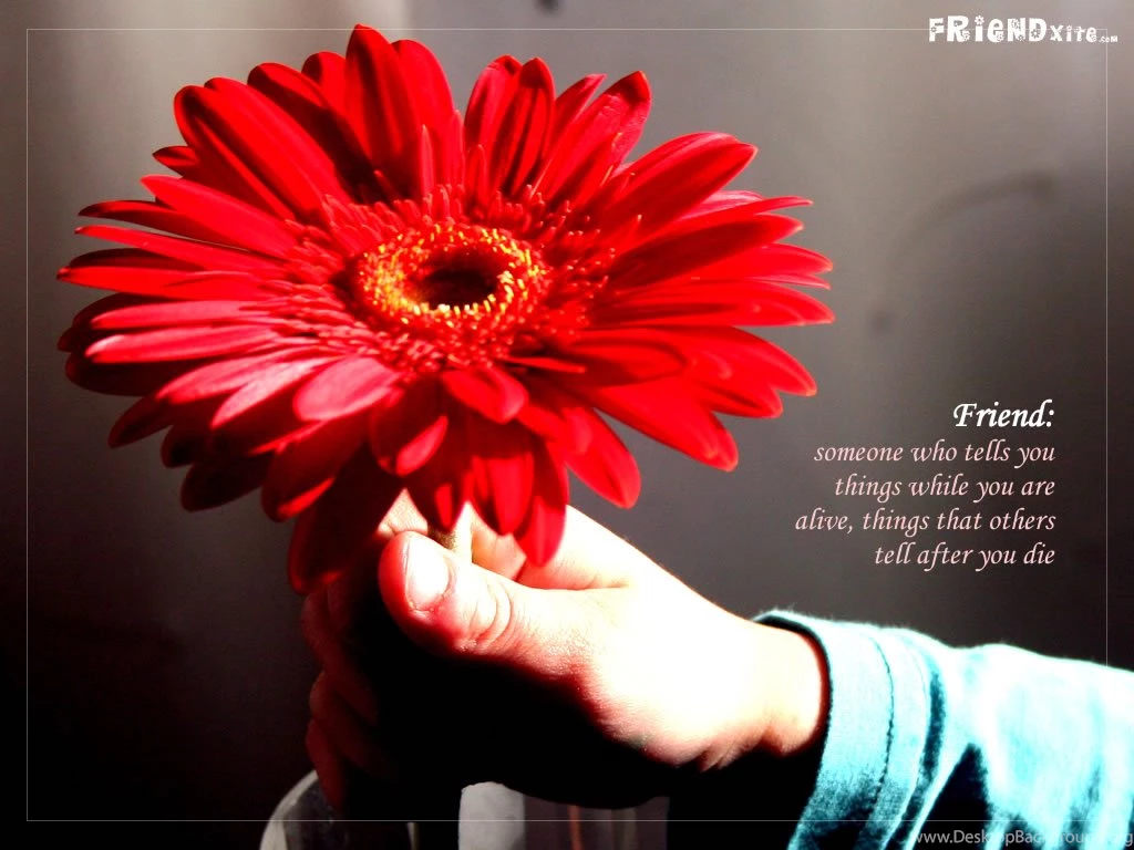 Happy Friendship Day 2012