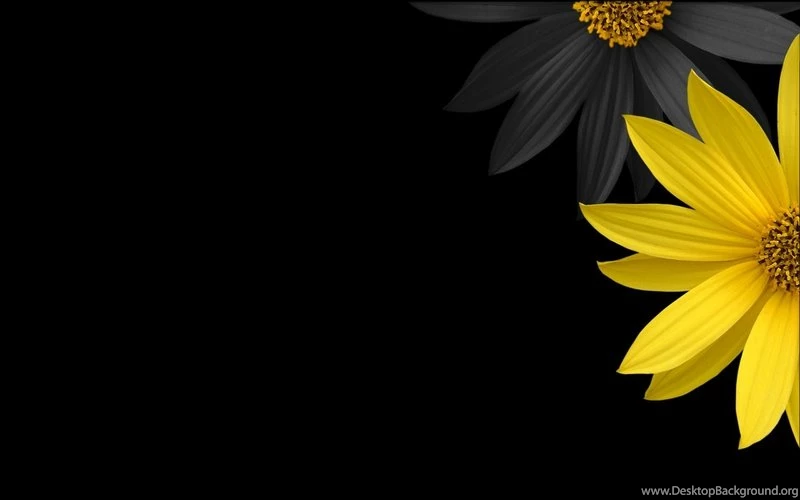 Black Wallpapers – Black Desktop Wallpapers