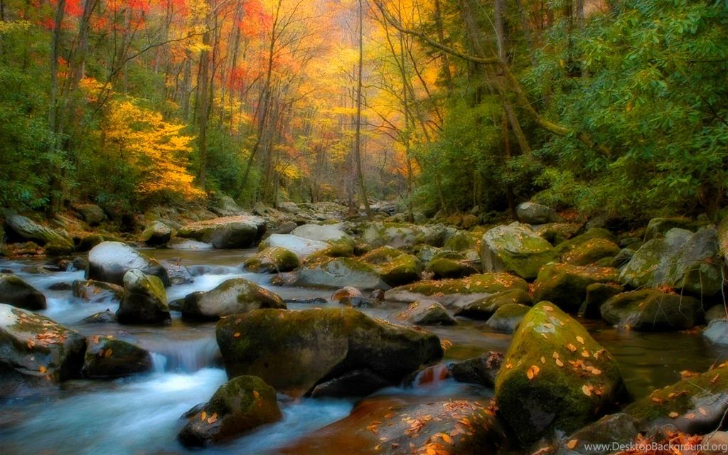 Stream Computer Wallpapers, Desktop Backgrounds