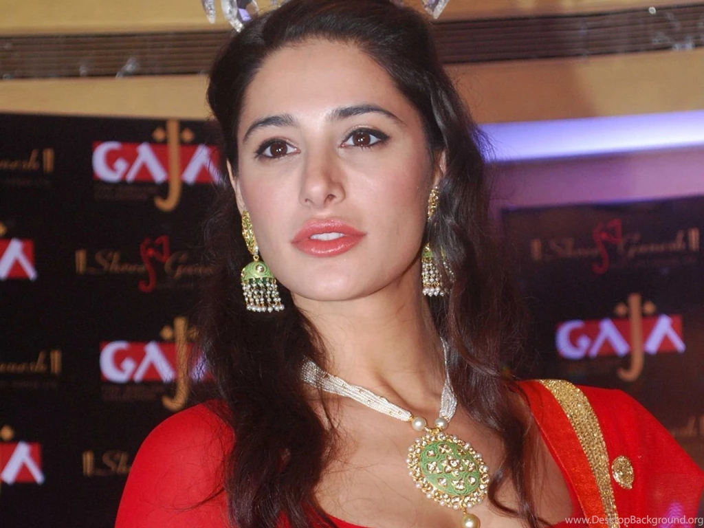 9 Facts About The Absolutely Stunning Nargis Fakhri