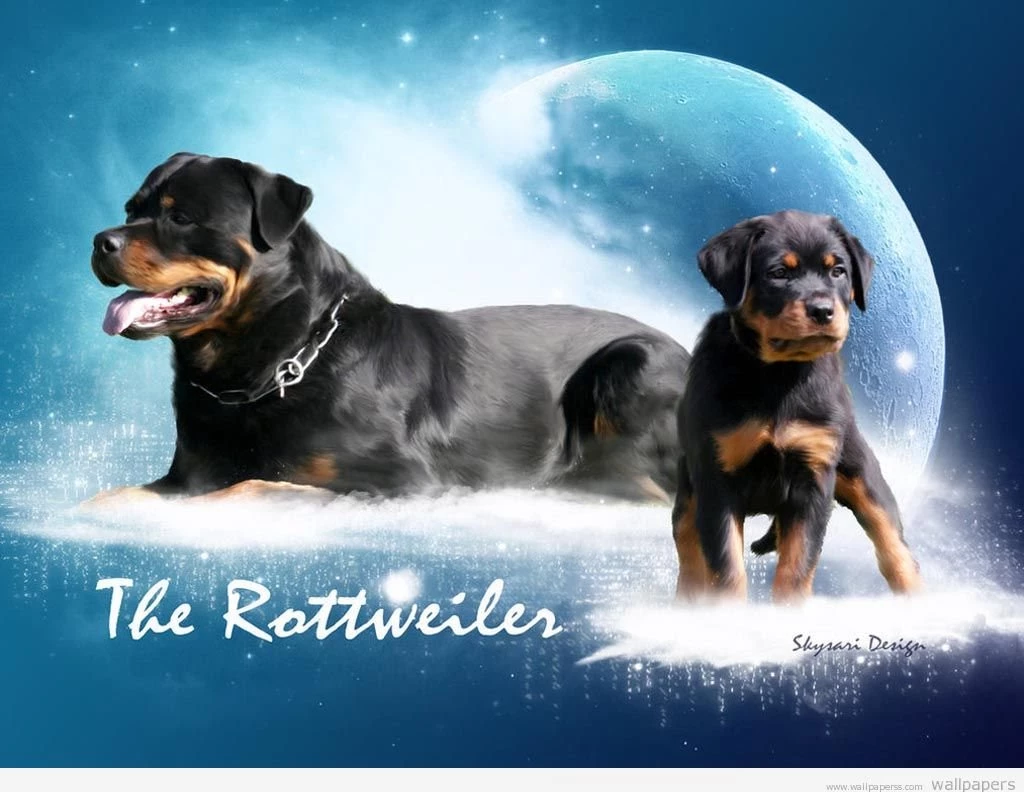 Rottweiler Wallpapers With Quotes Funny. QuotesGram