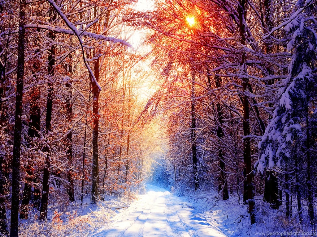 FreePhotoz Daily Wallpapers & Backgrounds   Sun And Snow At Winter ...