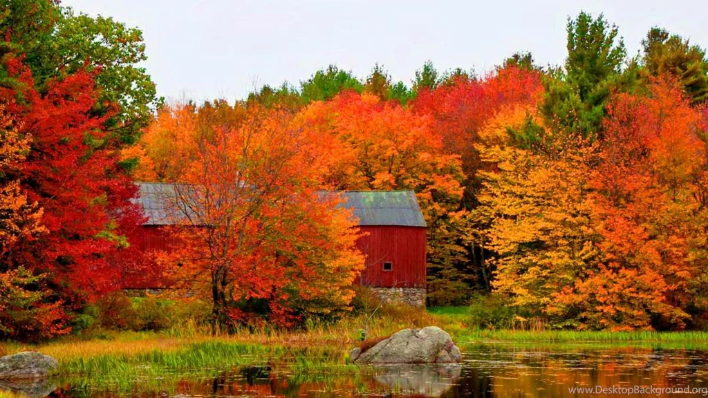 Fall Barn Wallpapers   (