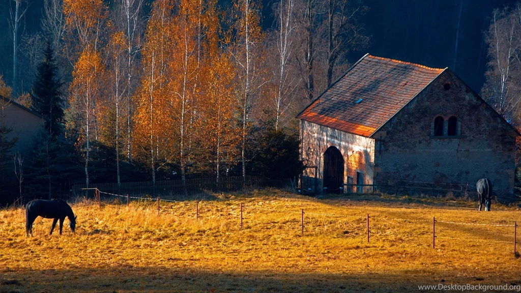 Horses Rustic Farm Barn Landscapes Buildings Autumn Fall Trees ...