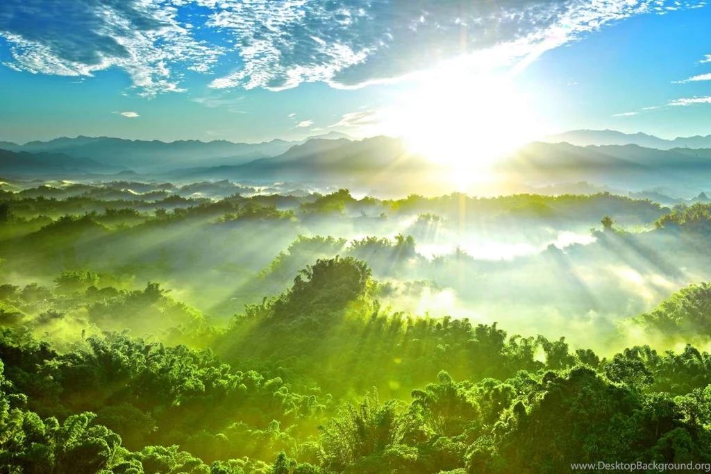 Wallpapers 2/5 AndroidSPIN